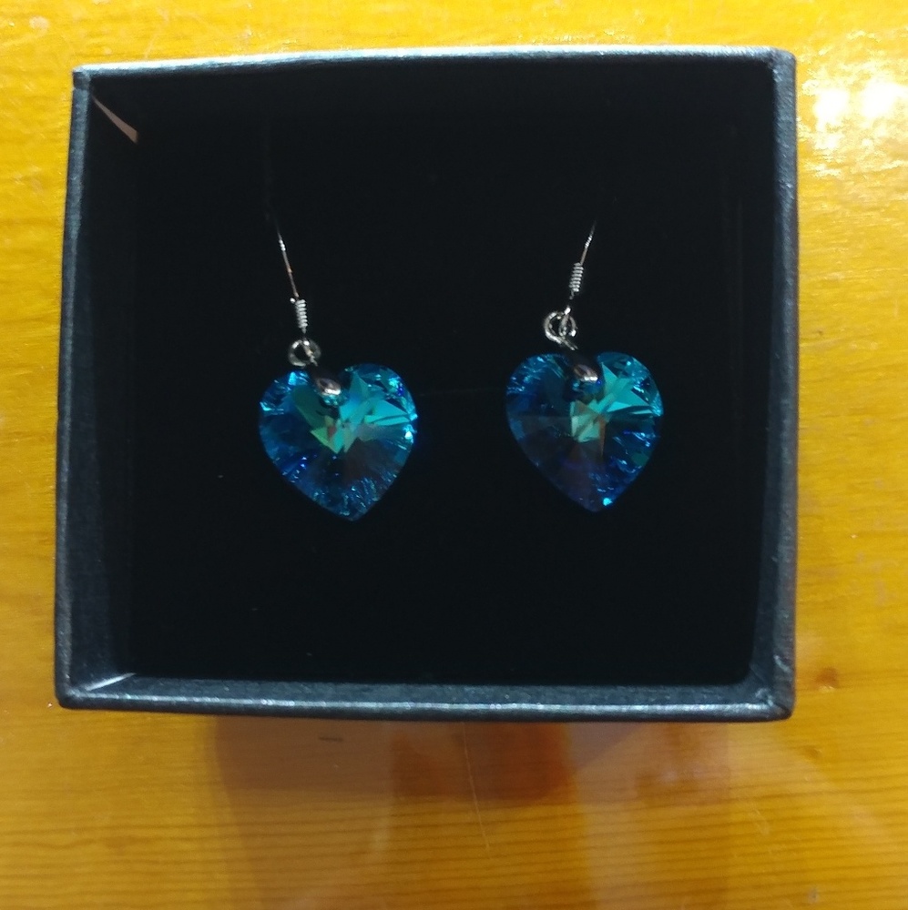 Luvami Blue Heart Earrings🌷